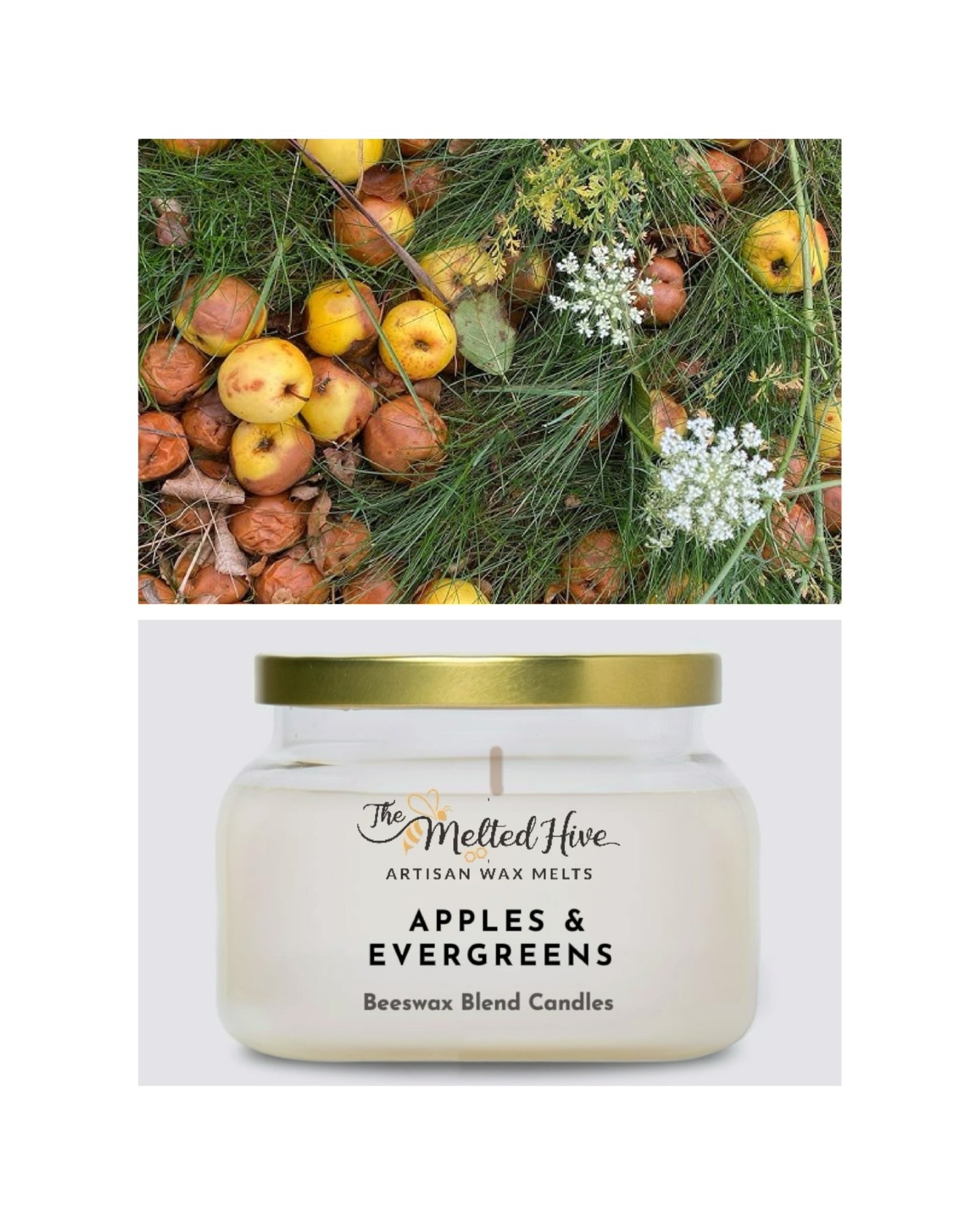 CANDLE - Apples & Evergreens
