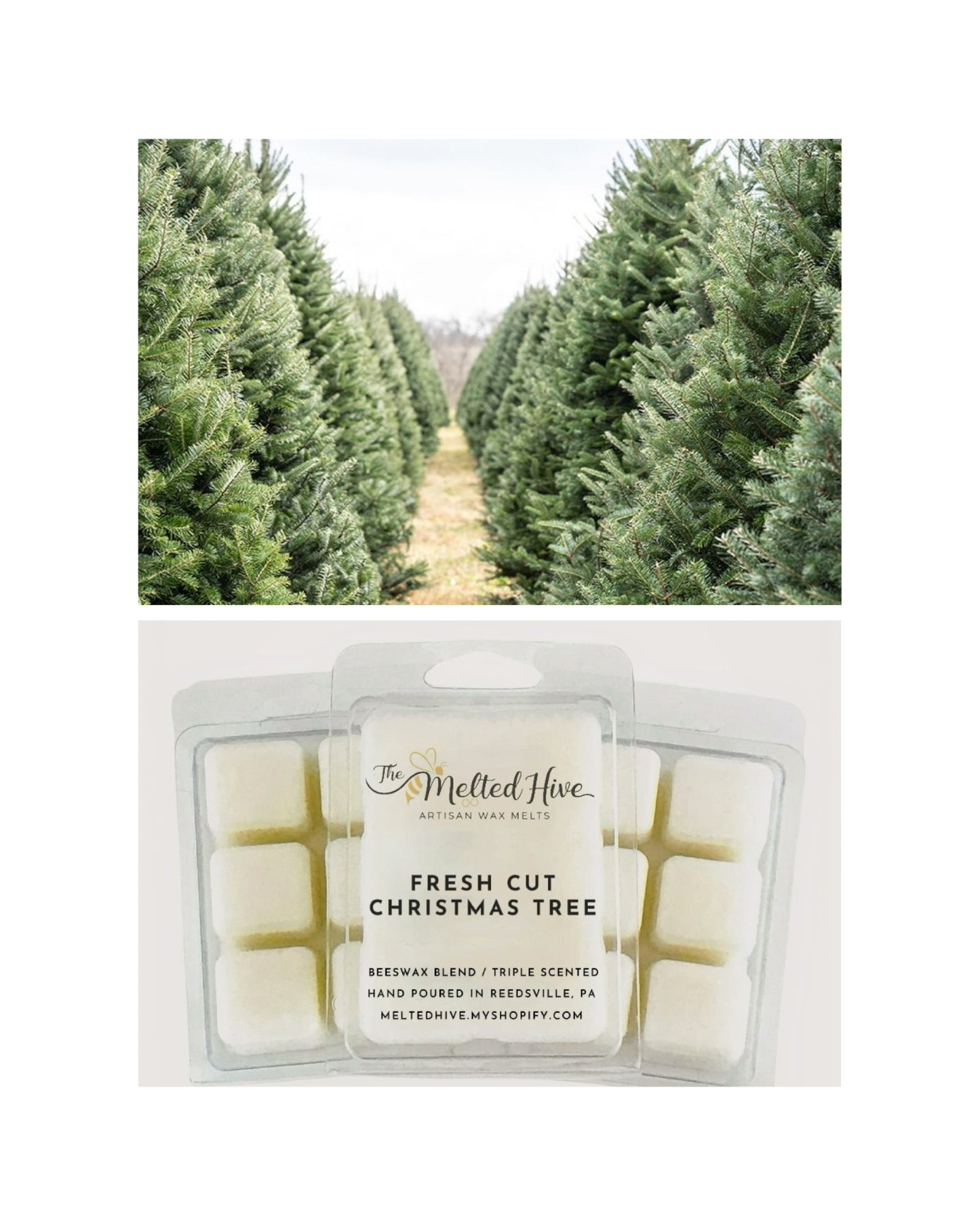 FRESH CUT CHRISTMAS TREE