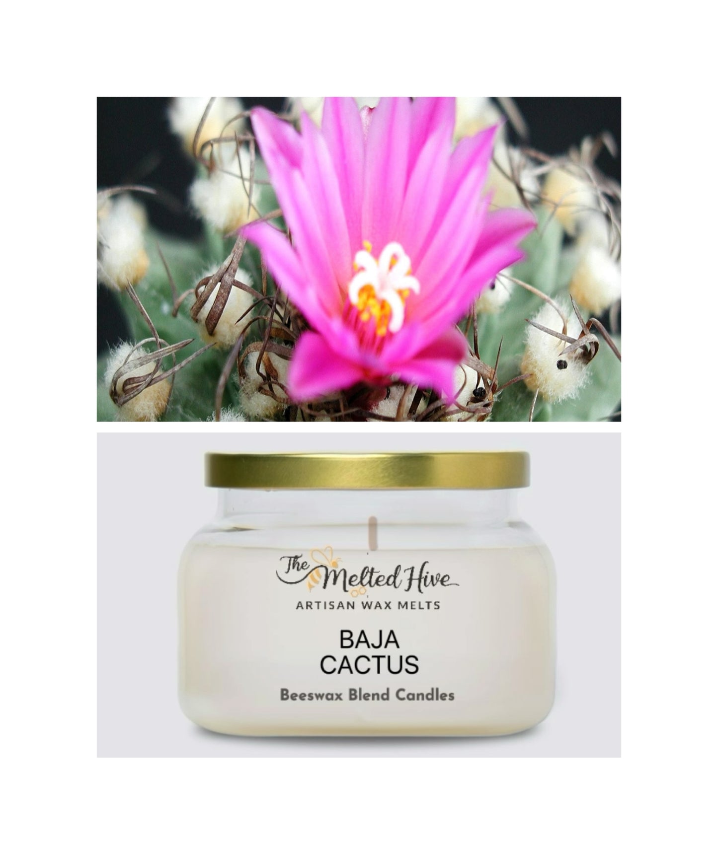 CANDLE - Baja Cactus